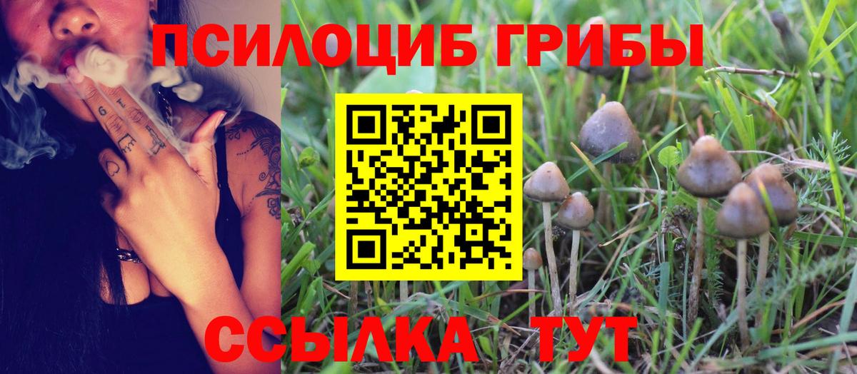 Минеральные Воды  Галлюциногенные грибы MAGIC MUSHROOMS  Вход с VPN 
